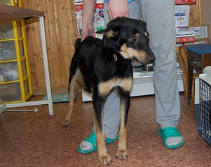 1778 X 1414 471.3 Kb        