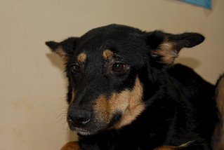 1920 X 1285 258.1 Kb        