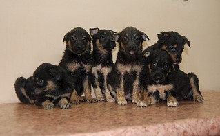 1920 X 1189 278.5 Kb 1920 X 1285 258.1 Kb        