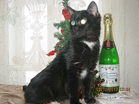 1280 X 960 210.1 Kb 1280 X 960 198.4 Kb 604 X 401 44.4 Kb 1280 X 850 193.9 Kb Подкинутые животные:Смертный приговор или...?