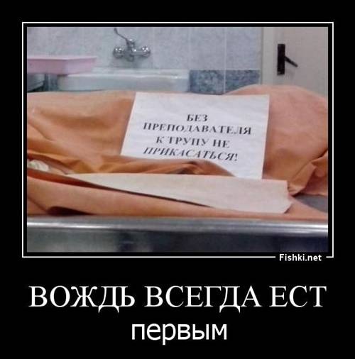 500 x 506 Улыбнемся?