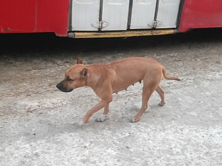 1920 X 1440 623.0 Kb  