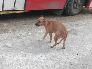 1920 X 1440 654.4 Kb 1920 X 1440 623.0 Kb      