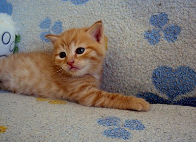 1920 X 1390 315.0 Kb 1920 X 1360 298.1 Kb ���� � ������� - �������� ������!