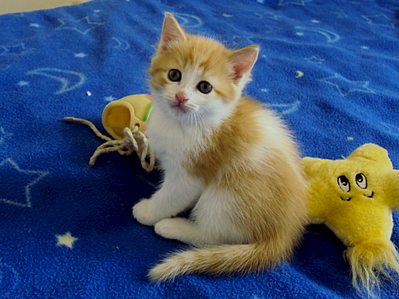 1920 X 1438 298.1 Kb ���� � ������� - �������� ������!