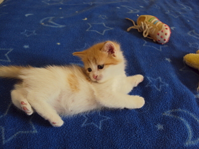 1920 X 1440 124.3 Kb 1920 X 1438 298.1 Kb ���� � ������� - �������� ������!