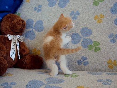 1920 X 1439 364.3 Kb ���� � ������� - �������� ������!