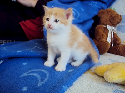 1920 X 1440 228.3 Kb ���� � ������� - �������� ������!