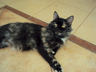 1920 X 1440 491.5 Kb 1920 X 1440 228.3 Kb ���� � ������� - �������� ������!