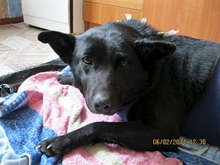 1600 X 1200 455.0 Kb     4-   !