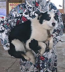 481 X 531 110.5 Kb 604 X 453 41.8 Kb 465 X 495 55.5 Kb     ,   