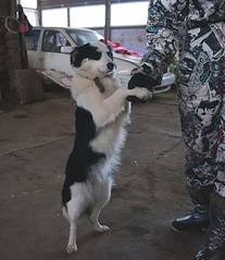 736 X 850 161.1 Kb     ,   