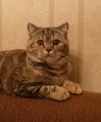 394 x 476 432 X 615 164.5 Kb 548 x 489 665 x 393    !