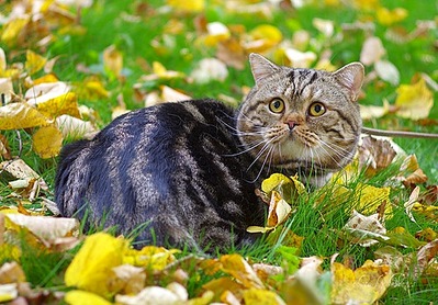 500 X 348 81.6 Kb    !