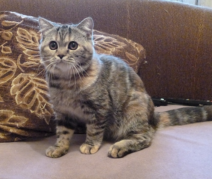 907 X 768 326.0 Kb    !