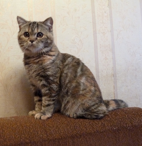 745 X 765 249.5 Kb 907 X 768 326.0 Kb    !