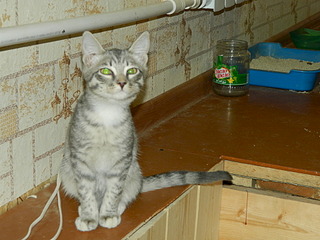 1920 X 1440 612.0 Kb   ()  