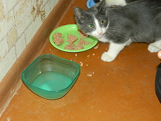 1920 X 1440 680.3 Kb   ()  