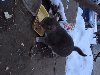 1920 X 1440 172.9 Kb 1920 X 1920  72.3 Kb ��������� �����! ��� ������?!