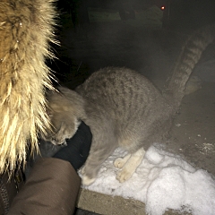 1920 X 1920 199.2 Kb 1920 X 1440 172.9 Kb 1920 X 1920  72.3 Kb ��������� �����! ��� ������?!