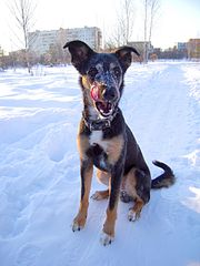 1920 X 2560 562.0 Kb 