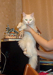 1459 X 2046 798.9 Kb 1783 X 1698 831.6 Kb      !