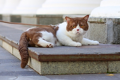 1600 X 1060 613.9 Kb 