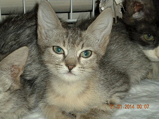 1920 X 1440 835.0 Kb , 