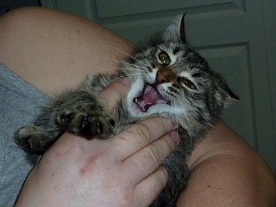 1920 X 1438 524.3 Kb     