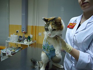 1280 X 960 173.1 Kb ������� ���� � ������ �����! ������ ������ � ������� ����������