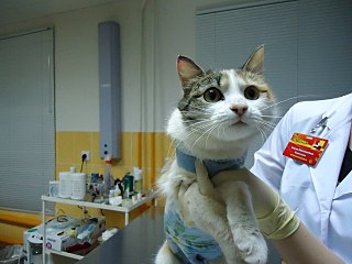 1280 X 960 178.3 Kb 1280 X 960 173.1 Kb ������� ���� � ������ �����! ������ ������ � ������� ����������