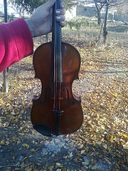 480 X 640 143.4 Kb    -  Stradiuarius