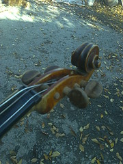 480 X 640 130.0 Kb 480 X 640 68.2 Kb 480 X 640 143.4 Kb    -  Stradiuarius