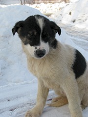 1920 X 2560 762.2 Kb        