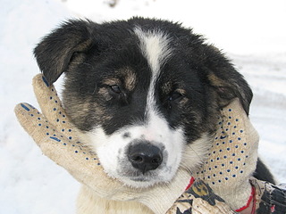 1920 X 1440 619.9 Kb 1920 X 2560 762.2 Kb        