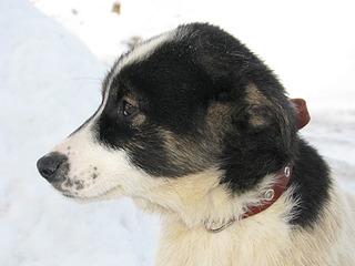 1920 X 1440 487.3 Kb 1920 X 2560 887.6 Kb 1920 X 1440 619.9 Kb 1920 X 2560 762.2 Kb        