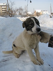 1920 X 2560 852.6 Kb 1920 X 2560 917.2 Kb        