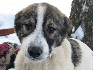 1920 X 1440 578.9 Kb 1920 X 2560 852.6 Kb 1920 X 2560 917.2 Kb        