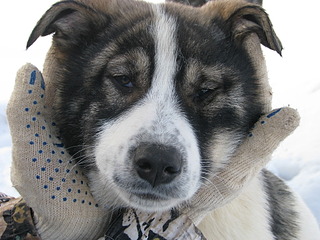 1920 X 1440 679.1 Kb        