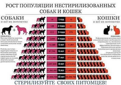 480 X 339 63.5 Kb 604 X 423 85.9 Kb    ( )