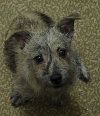 1605 X 1857 970.5 Kb    