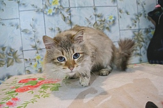 1280 X 850 224.5 Kb 533 X 800 113.0 Kb 451 X 500  67.0 Kb 500 X 331  53.5 Kb      .