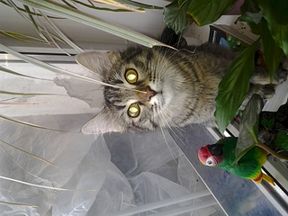 1920 X 1440 189.0 Kb     