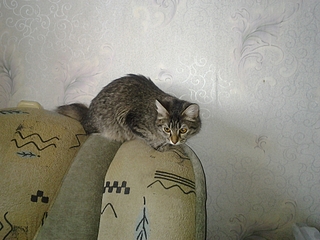 1920 X 1440 154.0 Kb 1920 X 1440 189.0 Kb     