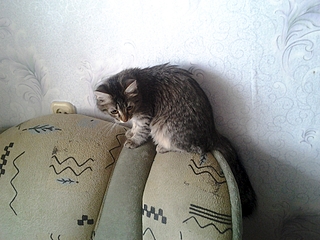 1920 X 1440 199.5 Kb 1920 X 1440 154.0 Kb 1920 X 1440 189.0 Kb     