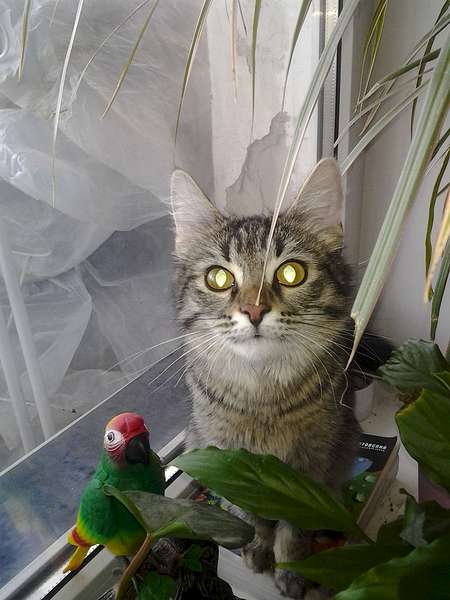 1440 X 1920 198.7 Kb     