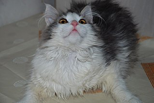 1280 X 857 125.4 Kb      