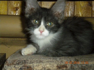 1920 X 1440 588.7 Kb , 