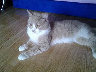 793 X 595 371.2 Kb     !