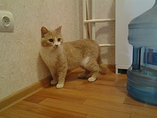 798 X 598 344.8 Kb     !